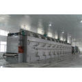 Best Selling of Longan Mesh Belt Dryer